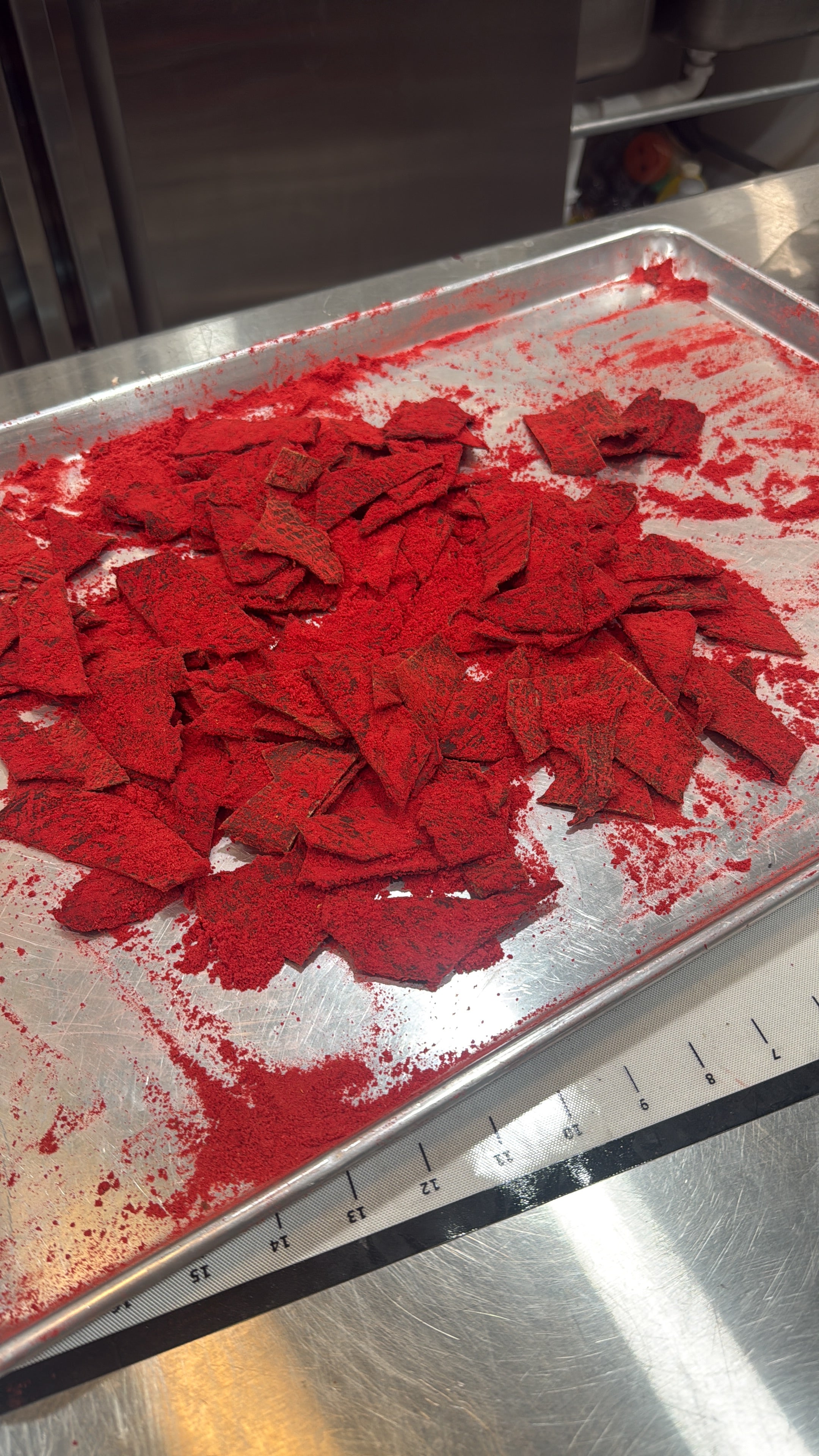 CARNE SECA TAKIS